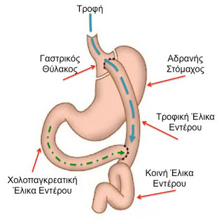 nosogonou2